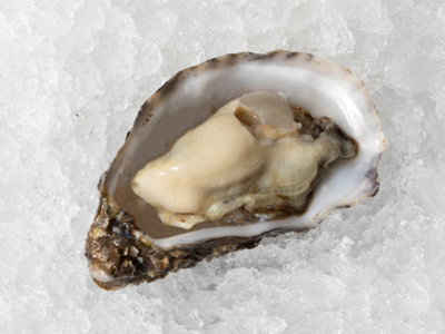 Tradition de Zélande Formi' table oester op ijs